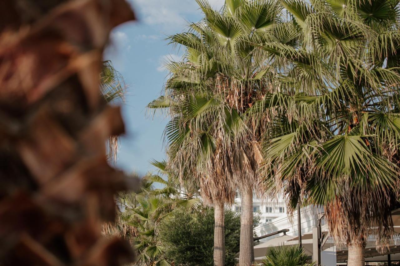 Klajdi Resort & Spa 골렘 외부 사진 Palm trees in the city